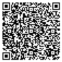 サークルZ のQRコード